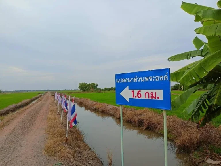 ขายที่ดิน คลอง 22 องครักษ์ นครนายก ดาวน์ 50000 เข้าใช้ประโยชน์ที่ดินได้ทันที