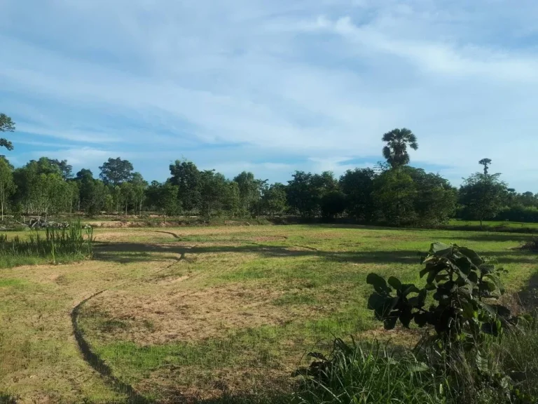 ขายที่ดินจังหวัดยโสธร ใกล้บ้านบึงแก ที่ดินสวย ราคากันเอง