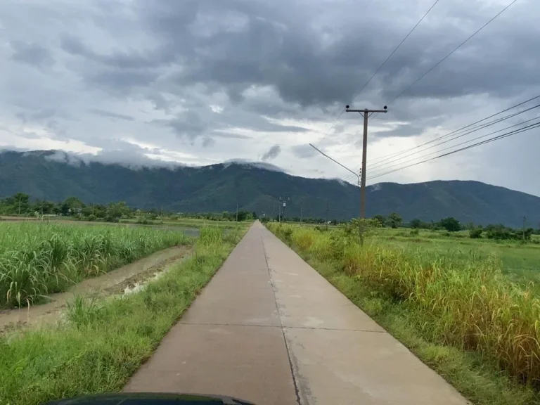 ดินโฉนดแปลงสุดท้าย ไร่ล 145000 ตนากลาง อโกรกพระ จนครสวรรค์