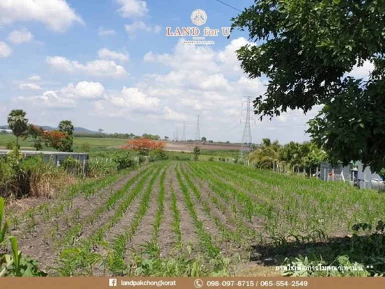 ที่ดินเปล่าให้เช่า ใกล้สนามบิน ใกล้นิคม ติดถนนบางนา-ตราด กม42 เนื้อที่ 2 ไร่