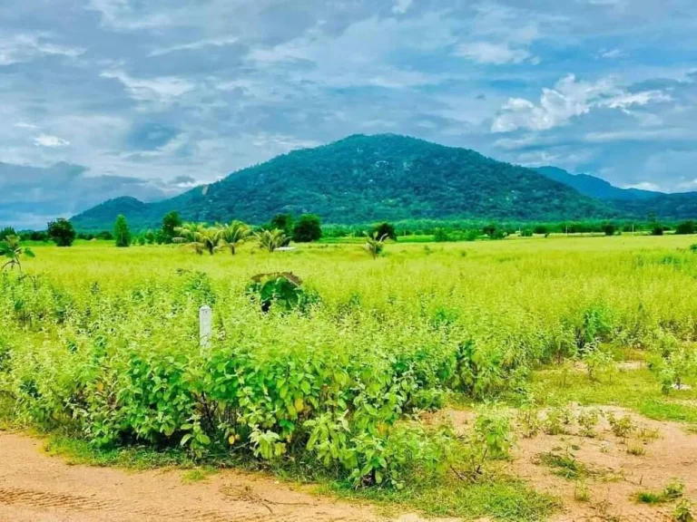 ที่ดินใกล้ถนนบายพาส500เมตร วิวเขาสวย เหมาะสำหรับเกร็งกำไล ทั้งสด-ผ่อน