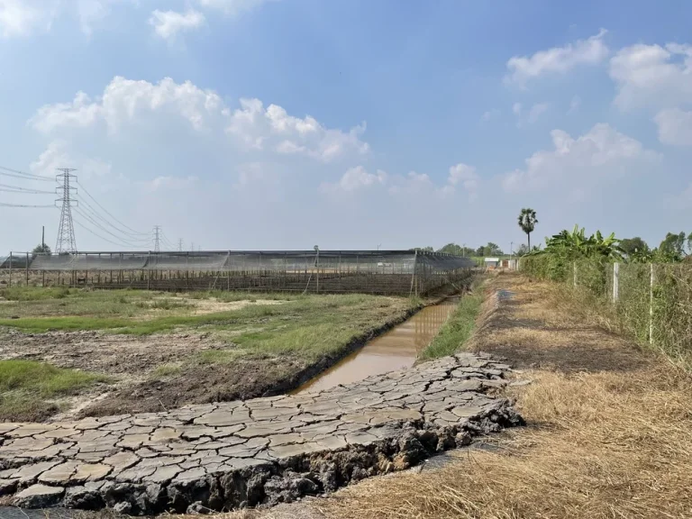 ขายถูกที่ดินถมแล้ว เหมาะทำสวนเกษตร เกษตรเชิงท่องเที่ยว บ้านสวน ที่ดินจัดสรร