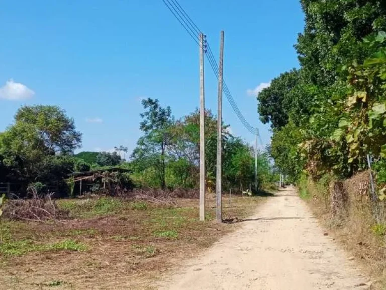 ที่ดินเปล่าสารภี ใกล้ถนนซุปเปอร์ไฮเวย์เชียงใหม่-ลำปาง