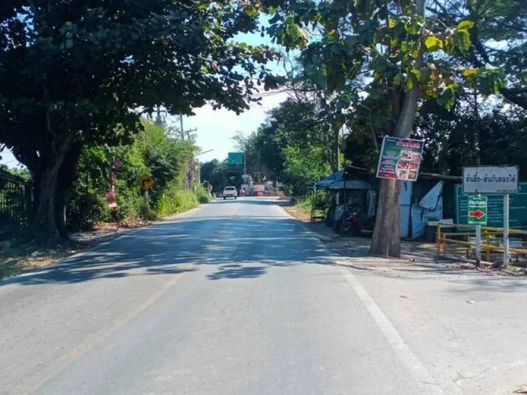 ที่ดินเปล่าสารภี ใกล้ถนนซุปเปอร์ไฮเวย์เชียงใหม่-ลำปาง