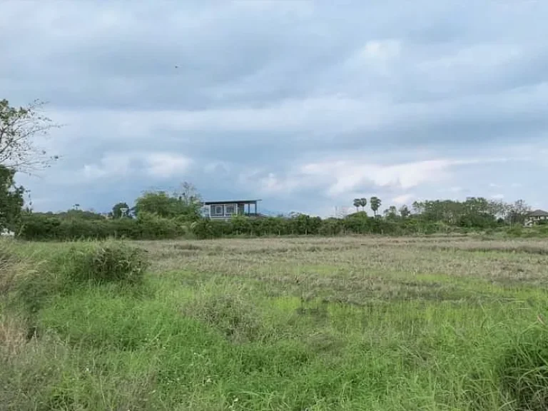 ขายที่สวนบ้านถวายขุนคงห่างอบตเพียง 850 เมตรหางดงพร้อมโอน