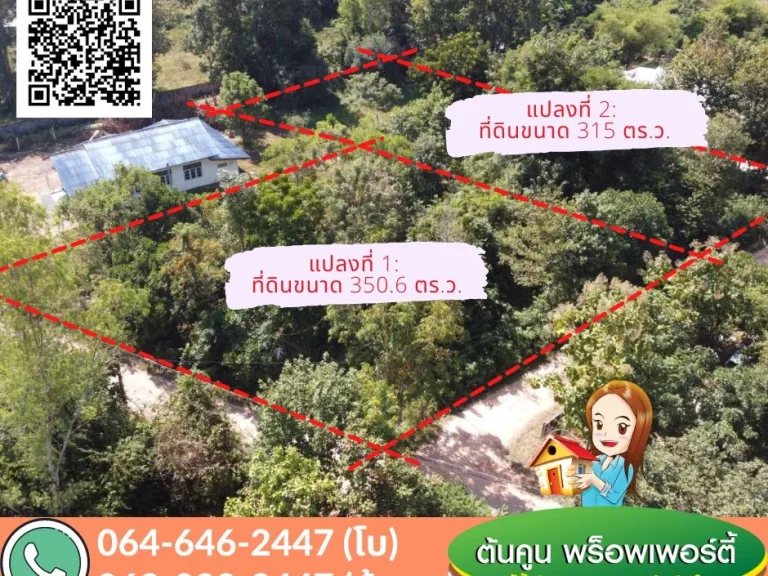 ขายที่ดินแปลงสวย ขนาด 315 ตรว ราคาไม่แพง โซนบ้านบุ่งไหม ใกล้รพค่ายสรรพสิทธิประสงค์ อวารินชำราบ