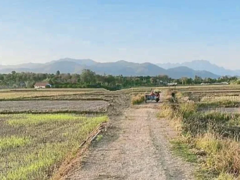 ขายที่ดินบ้านอินทขิลแม่แตงวิวภูเขาพร้อมทำการเกษตรโฉนดพร้อมโอน