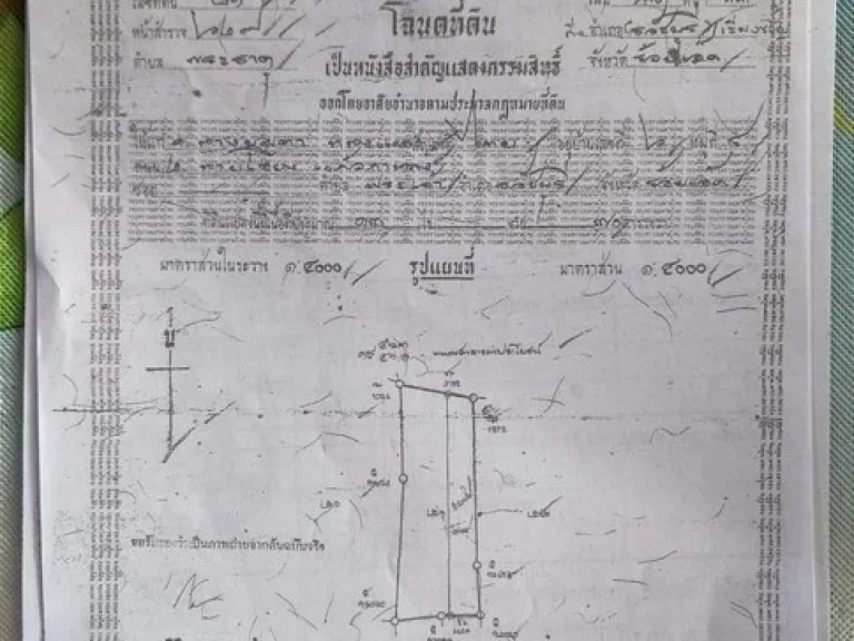 ขายที่ดิน 9 ไร่ 6 ตรว โฉนดพร้อมโอน ติดถนนหลวงและติดคลองชลประทานเหมาะสำหรับสร้างปั๊มน้ำมัน โกดัง