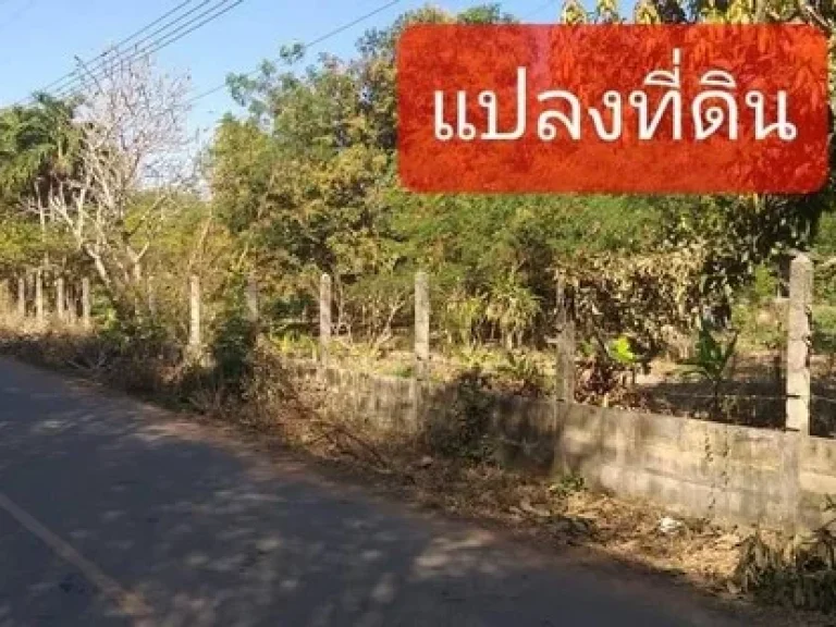 ที่ดินพร้อมสวนผลไม้หลายชนิด อำเภอพนัสนิคม จังหวัดชลบุรี เนื้อที่ 7 ไร่