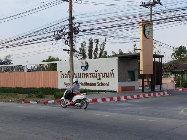 ขายด่วนที่ดิน 100 ตรว ราคาถูก ซคลองสาม 92 ข้างวัดกลาง ใกล้วัดพระธรรมกาย