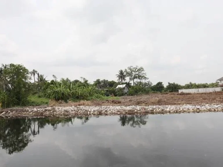 ขายที่ดินติดคลองบางคูวัด อเมือง จปทุมธานี เหลือแปลงสุดท้าย แปลงติดริมน้ำ