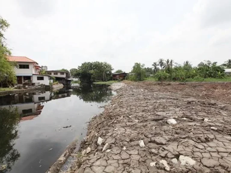 ขายที่ดินติดคลองบางคูวัด อเมือง จปทุมธานี เหลือแปลงสุดท้าย แปลงติดริมน้ำ