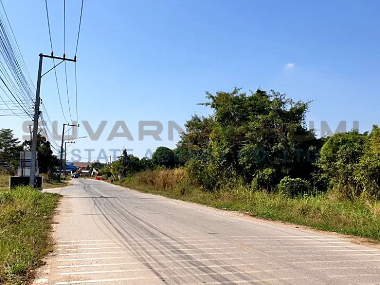 ขาย ที่ดินเปล่า ในโครงการจัดสรร พลายชุมพล เมืองพิษณุโลก