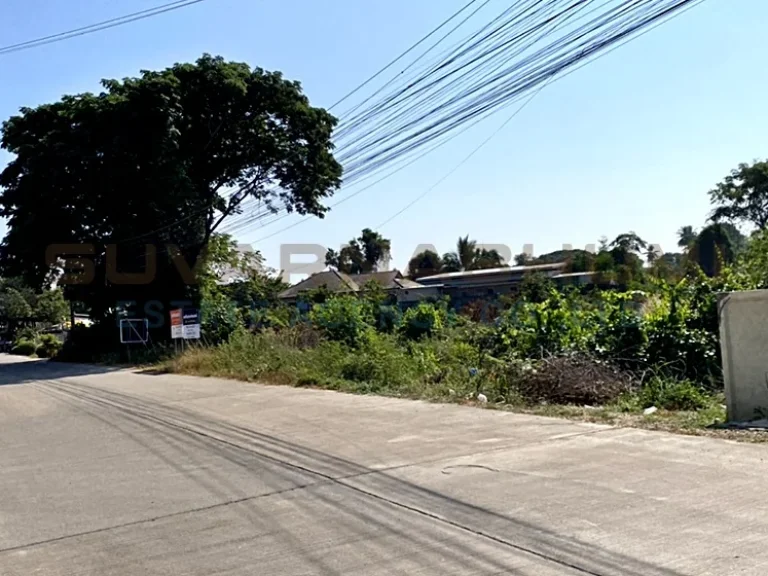 ขาย ที่ดินเปล่า ในโครงการจัดสรร ตพลายชุมพล อเมืองพิษณุโลก จพิษณุโลก