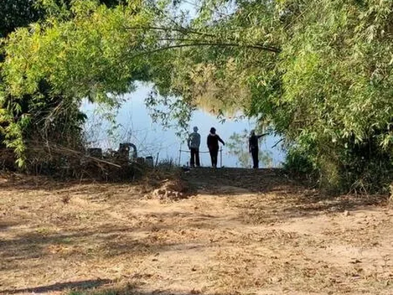 ที่ดินเกษตรผสมผสาน 310 ไร่ อแม่อาย จเชียงใหม่ ที่ดินอุดมสมบูรณ์มีน้ำตลอดทั้งปี