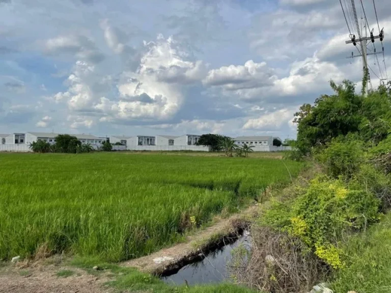 ที่ดิน ติดถนน คอกวัว-โรงโฟม ตำบลบางแม่นาง อำเภอบางใหญ่ จังหวัดนนทบุรี