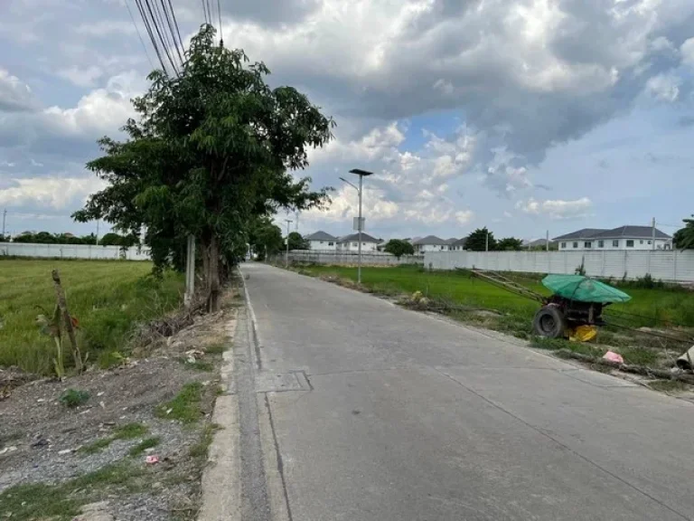 ที่ดิน ติดถนน คอกวัว-โรงโฟม ตำบลบางแม่นาง อำเภอบางใหญ่ จังหวัดนนทบุรี