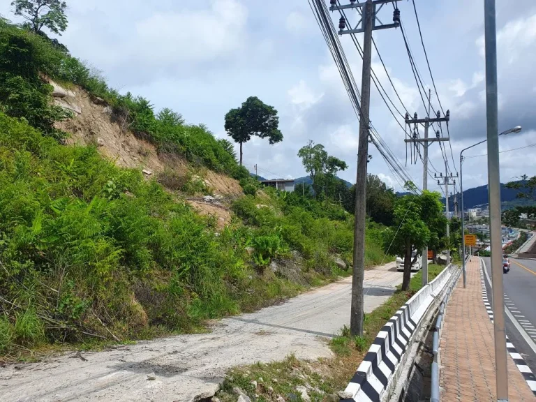 ขายที่ดิน ภูเก็ต ป่าตอง เนื้อที่10ไร่ วิวหาดเมืองป่าตอง Land for sale in Phuket Patong area 10 rai Patong city beach view