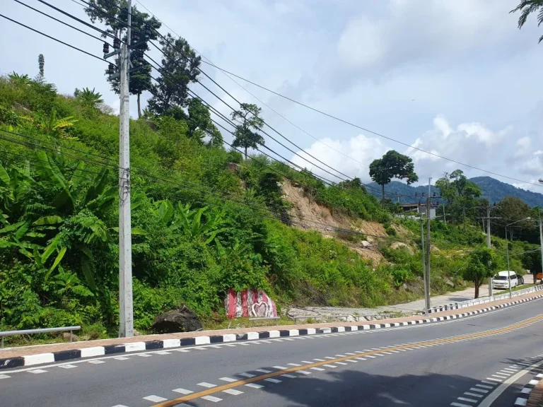 ขายที่ดิน ภูเก็ต ป่าตอง เนื้อที่10ไร่ วิวหาดเมืองป่าตอง Land for sale in Phuket Patong area 10 rai Patong city beach view