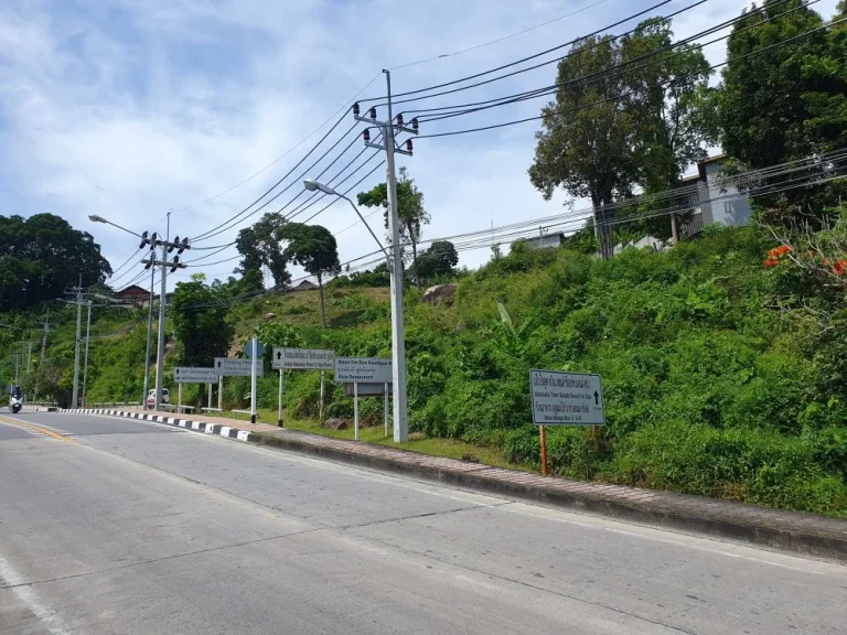 ขายที่ดิน ภูเก็ต ป่าตอง เนื้อที่10ไร่ วิวหาดเมืองป่าตอง Land for sale in Phuket Patong area 10 rai Patong city beach view