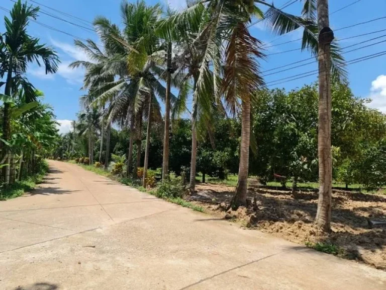 ขายที่ดินสวนเกษตรผสม ที่ดินแปลงเล็ก โฉนด พร้อมเก็บผลผลิต เหมาะลงทุน ชากโดน แกลง ระยอง