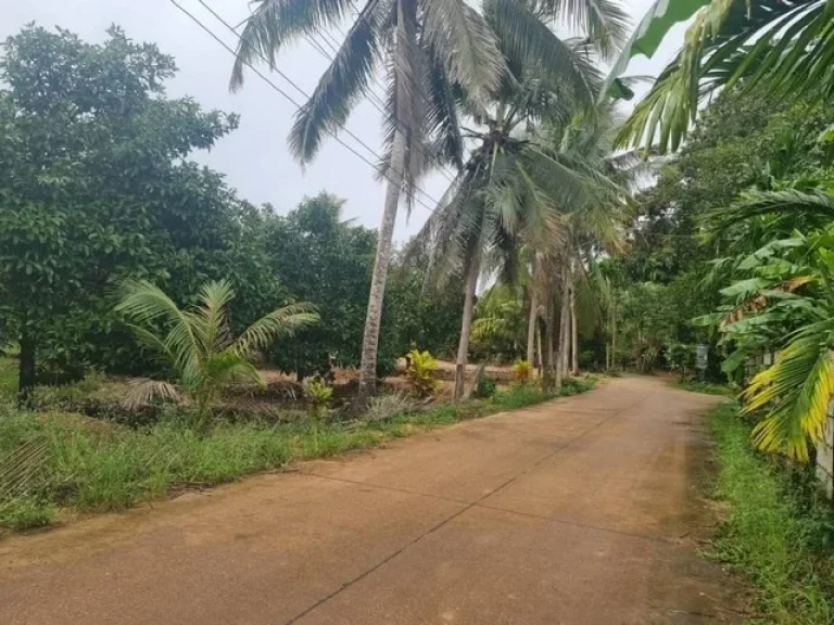 ขายที่ดินสวนเกษตรผสม ที่ดินแปลงเล็ก โฉนด พร้อมเก็บผลผลิต เหมาะลงทุน ชากโดน แกลง ระยอง