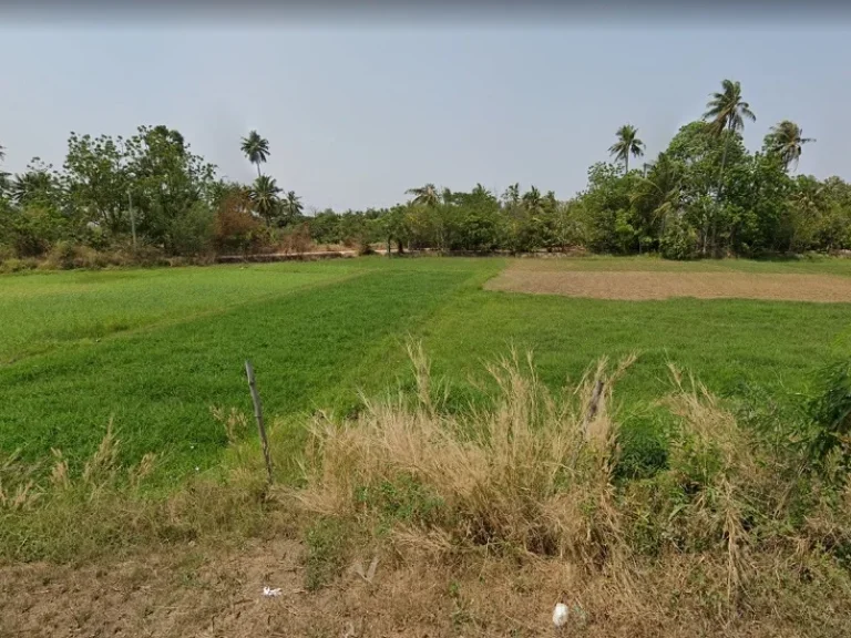 ขายที่ดิน 1 ไร่ ชะอำ เพชรบุรี ห่างหาดชะอำเพียง 57 กม