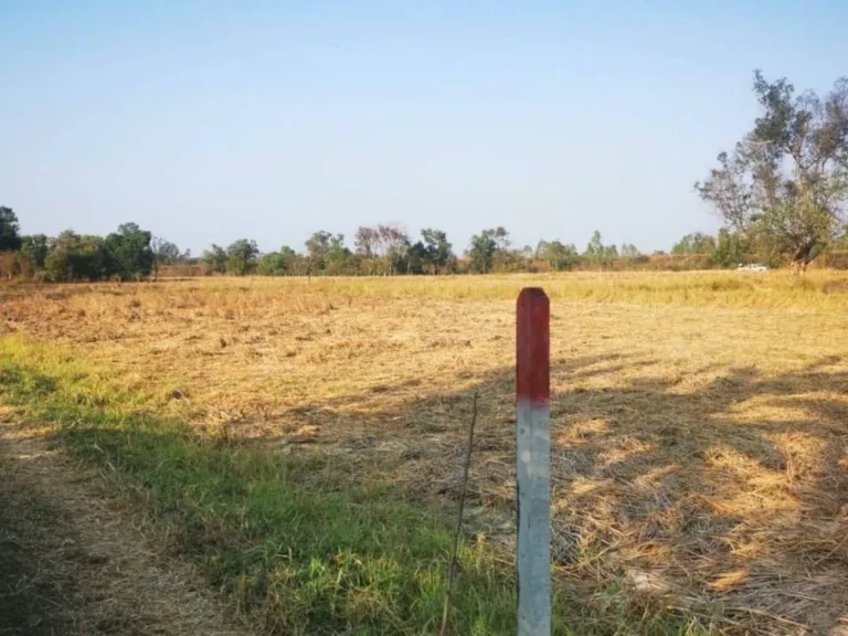 ขายที่ดิน 18 ไร่ ตำบลบ้านจั่น อำเภอเมือง จังหวัดอุดรธานี