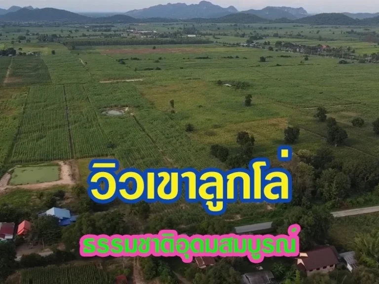 มณีดินทร์ 54 - ที่ดินวิวเขา บ้านไร่ อุทัยธานี แถมถมดินฟรี ใกล้ถนนหลวง333 เพียง 850 เมตร