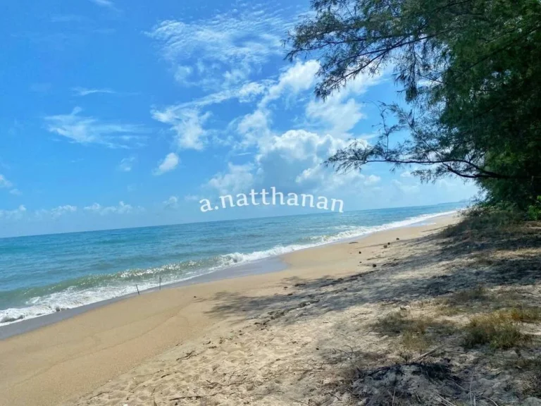 ที่ดินสวย ติดทะเล 3 งานกว่า เหมาะสำหรับปลูกบ้านริมทะเล หาดทุ่งแสงอรุณ