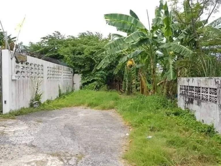 ที่ดินว่างเปล่า ด้านหน้าติดถนนซอยลาซาล 52 แยก 1 ถนนสุขุมวิท105