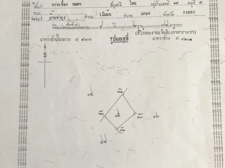 สวนยางระยอง 51ไร่ ทำเลดี ต้นยางสวย นำ้ไฟเข้าถึง มีนำ้บาดาล