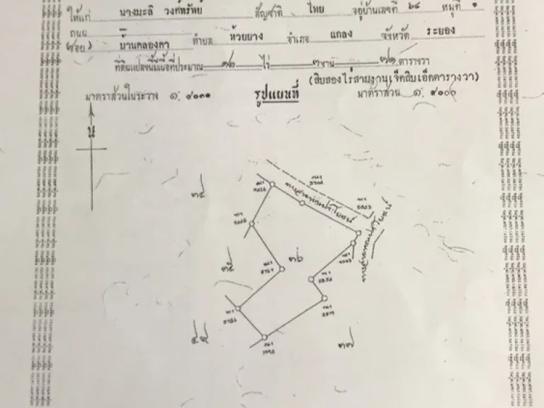 สวนยางระยอง 51ไร่ ทำเลดี ต้นยางสวย นำ้ไฟเข้าถึง มีนำ้บาดาล