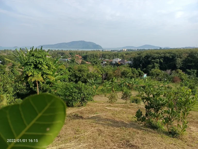 ภูเก็ต ขายที่ดินสวนติดซีวิวล์ 7 ไร่เศษ ซอยมัสยิดนูรุดดีนียะฮ์ ราไวย์ ภูเก็ต