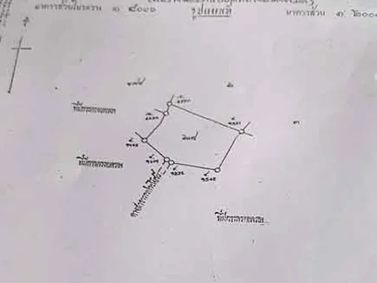 ขายที่ดินเหมาะทำการเกษตร มีน้ำตลอดปี บ้านโพธิ์ เมืองสุพรรณ