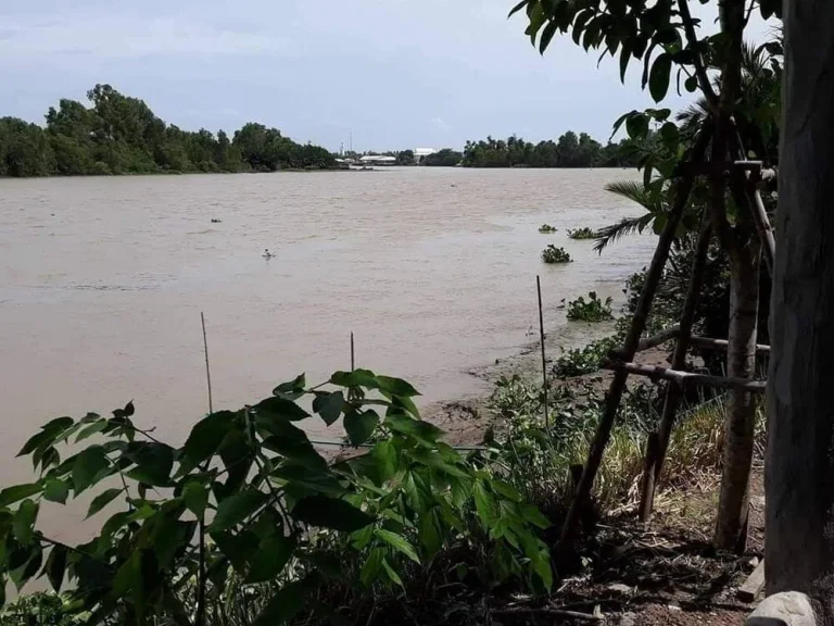 บ้านริมแม่น้ำบางปะกง 1 ไร่ ส่วนตัวมาก บรรยากาศดี ไม่มีมลพิษตลิ่งไม่ถูกกัดเซาะ