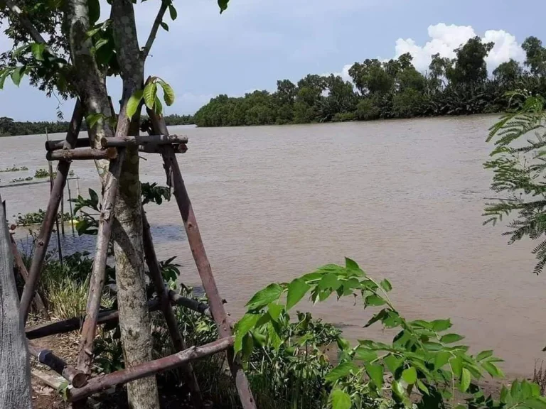 บ้านริมแม่น้ำบางปะกง 1 ไร่ ส่วนตัวมาก บรรยากาศดี ไม่มีมลพิษตลิ่งไม่ถูกกัดเซาะ