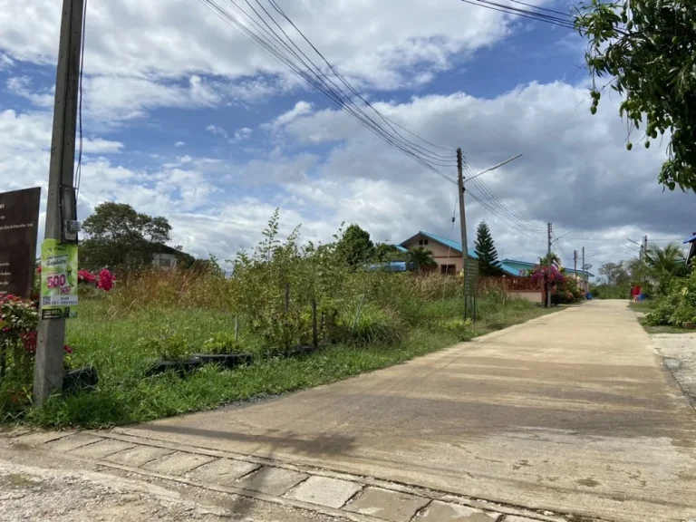 ขายที่ดิน300ตรว ในซอยวัดหนองดินแดง อเมือง จังหวัดนครปฐม