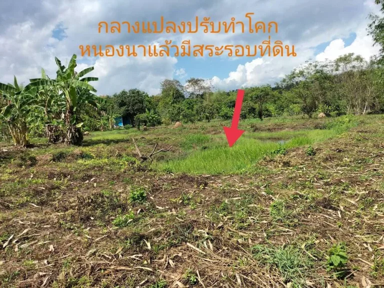 ขายที่ดิน 2-2 -908 ไร่ ตหินตั้ง นคานายก ไร่ละ2ล้านบาท