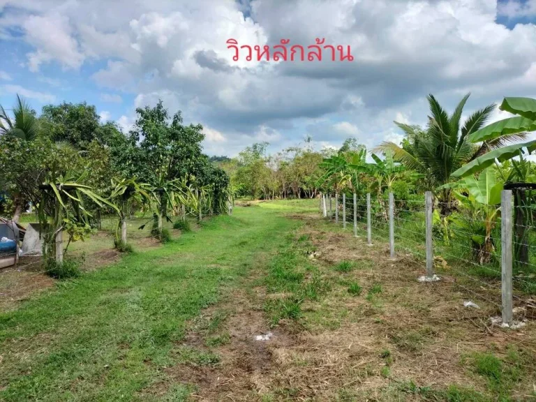 ขายที่ดิน 2-2 -908 ไร่ ตหินตั้ง นคานายก ไร่ละ2ล้านบาท