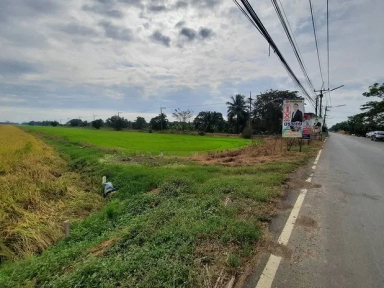 ที่ดินคลอง8 บึงบอน-หนองเสือ จปทุมธานี ขนาด 200-400 ตรว หลายแปลง