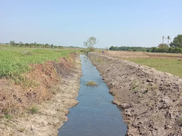 แบ่งขายที่ดิน 7 ไร่ ทำเลดีอำเภอสองพี่น้อง จังหวัดสุพรรณบุรี