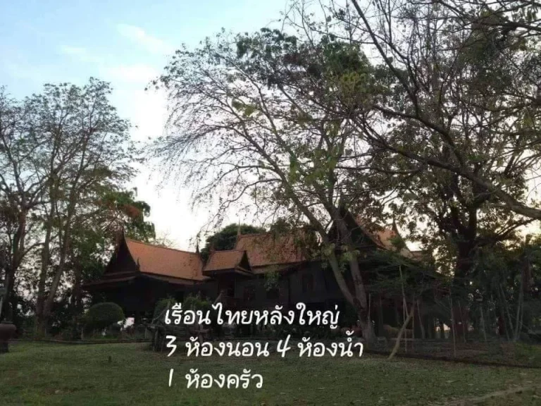 ขายที่ดินริมน้ำ ติดคลองกว้าง แม่น้ำน้อย บางไทร บ้านเกาะ อยุธยา พร้อมบ้านทรงไทยโบราณไม้สักทอง ไม้แดง ใกล้เส้น 3111 ปทุม สามโคก ถนนลาดยางถึงที่ สวยมาก 