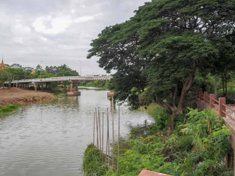 ขายด่วนมาก รีสอร์ทขนาดใหญ่ 15 ห้องนอน ห้องอเนกประสงค์ สำนักงาน และร้านกาแฟ 700 ตรม ที่ดิน 1-3-0 ไร่ ริมแม่น้ำน้อย อเสนา จอยุธยา