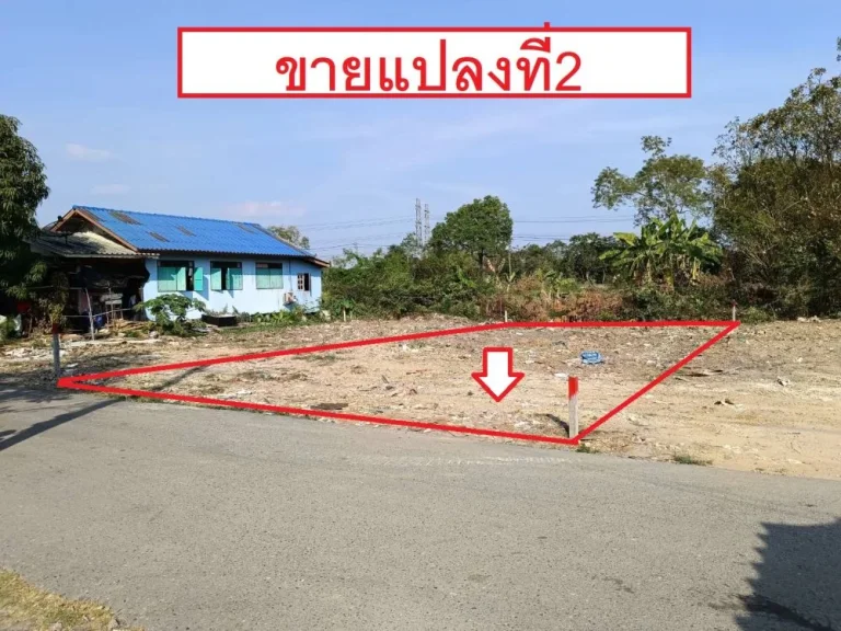 ขายที่ดิน58-60 ตรวา อยู่ในซอยไมตรีจิต16 ถนนไมตรีจิต ติดทางสาธารณะ สามวาตะวันออก คลองสามวา กรุงเทพ 10000ตรวา