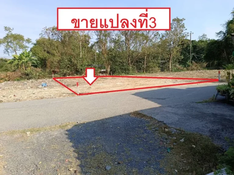 ขายที่ดิน58-60 ตรวา อยู่ในซอยไมตรีจิต16 ถนนไมตรีจิต ติดทางสาธารณะ สามวาตะวันออก คลองสามวา กรุงเทพ 10000ตรวา