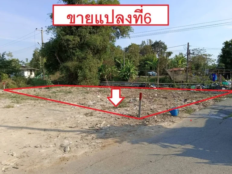 ขายที่ดิน58-60 ตรวา อยู่ในซอยไมตรีจิต16 ถนนไมตรีจิต ติดทางสาธารณะ สามวาตะวันออก คลองสามวา กรุงเทพ 10000ตรวา