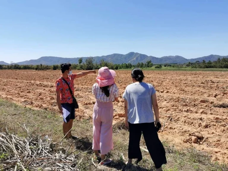 ที่ดินเปล่าแบ่งขาย โฉนดครุฑแดง นส4จ ตเมืองการุ้ง อบ้านไร่ จอุทัยธานี