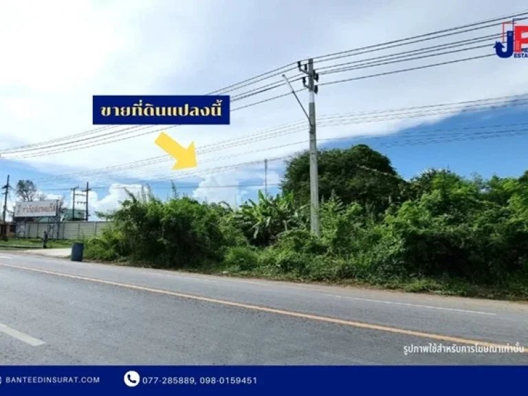 ขาย ที่ดินเปล่า 1ไร่กว่า ติดถนนสุราษฎร์-ปากน้ำ ตบางกุ้ง สุราษฎร์ธานี ที่ดินแบ่งล็อคแล้ว ทำเลธุรกิจ