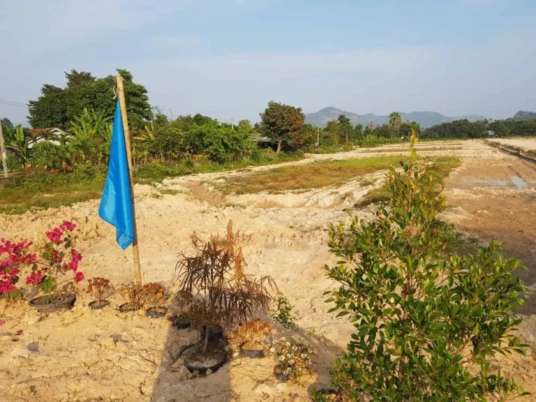 ขายที่ดินจัดสรร ติดถนน จปร อำเภอเมืองนครนายก ทำเลดี วิวสวย วิวเขาชะโงก บรรยากาศน่าอยู่ ใจกลางแหล่งชุมชน เดินทางสะดวก